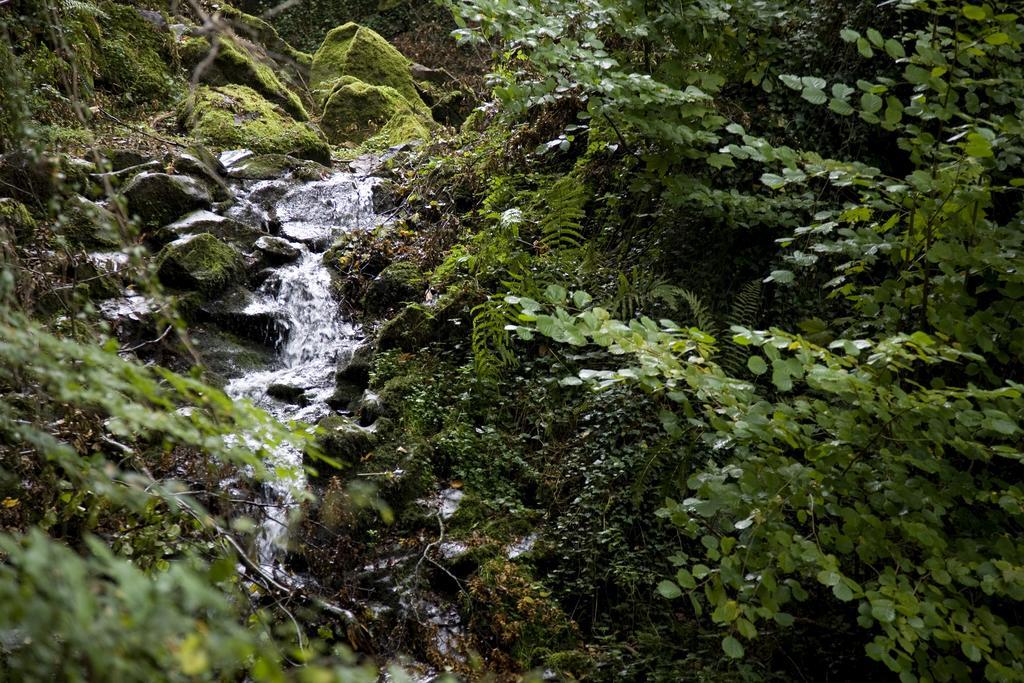 Landhaus Bad Bertrich Exteriér fotografie