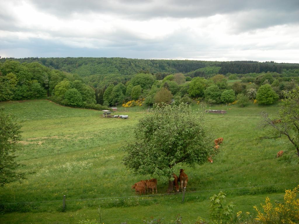 Landhaus Bad Bertrich Exteriér fotografie