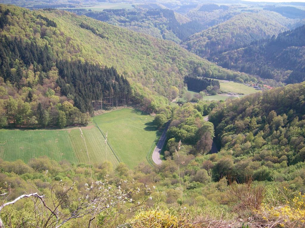 Landhaus Bad Bertrich Exteriér fotografie