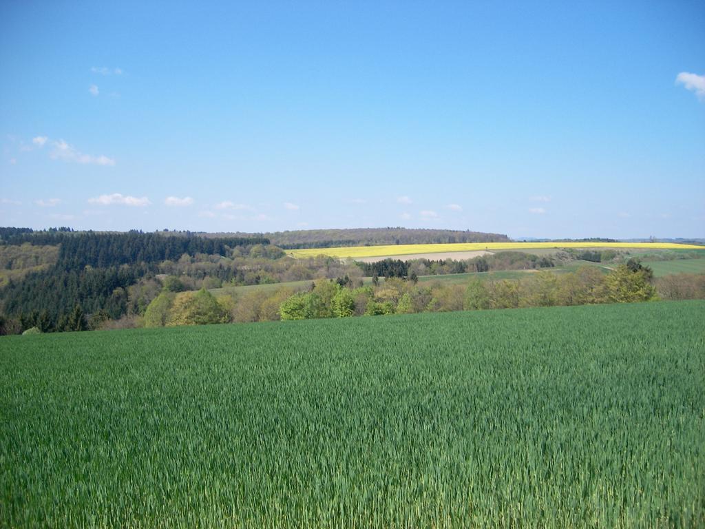 Landhaus Bad Bertrich Exteriér fotografie
