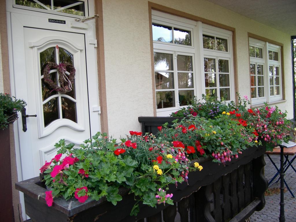 Landhaus Bad Bertrich Exteriér fotografie