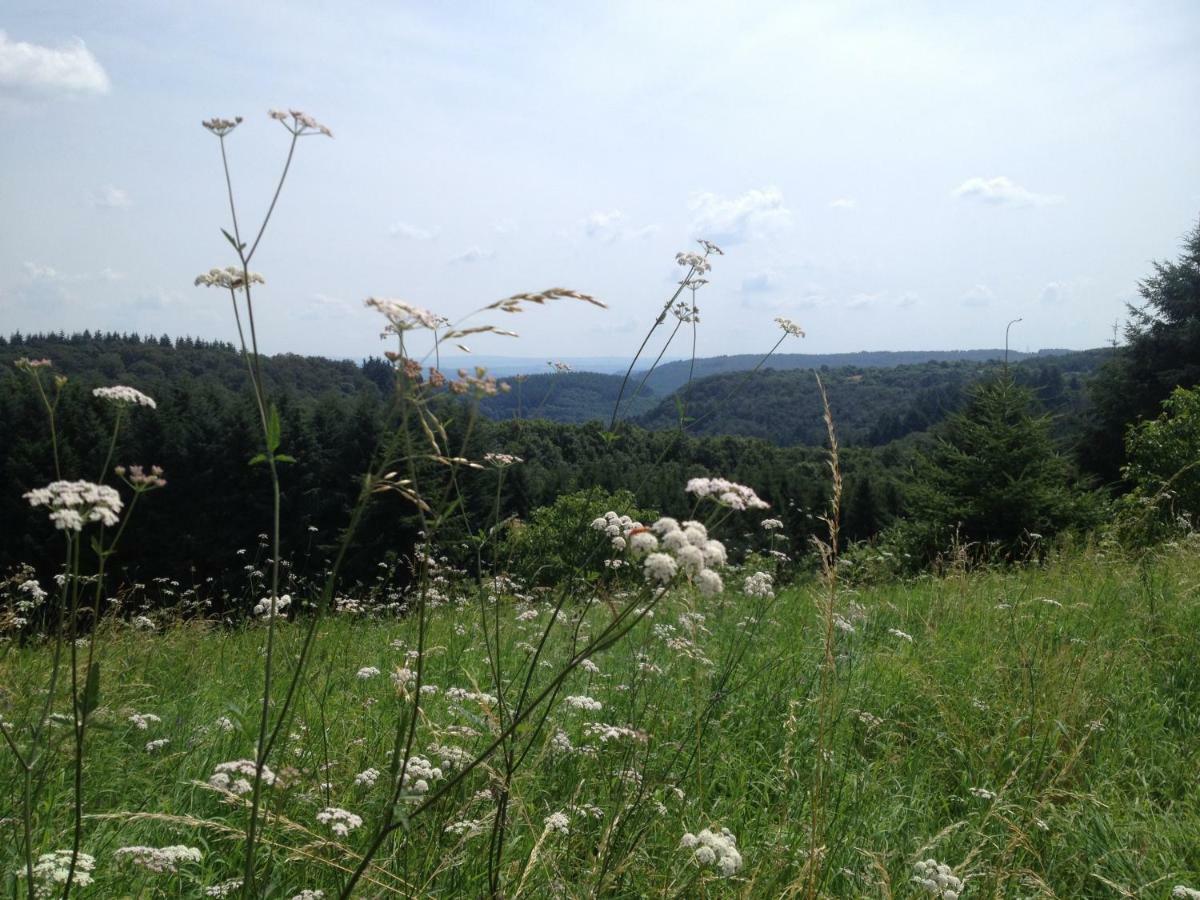 Landhaus Bad Bertrich Exteriér fotografie